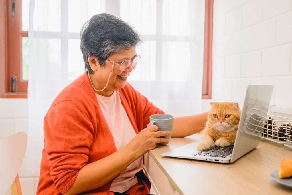 The portrait of happy senior using laptop with her cat. Happy old woman in retirement